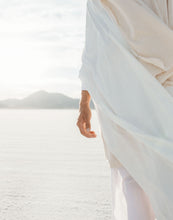 Load image into Gallery viewer, Peace Be Still
