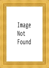 Load image into Gallery viewer, Tabernacle of Trees
