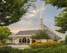 Load image into Gallery viewer, Boise Temple 01
