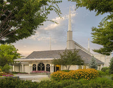 Load image into Gallery viewer, Boise Temple 01
