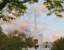 Load image into Gallery viewer, Denver Temple 01
