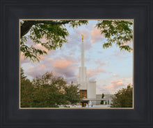 Load image into Gallery viewer, Denver Temple 01
