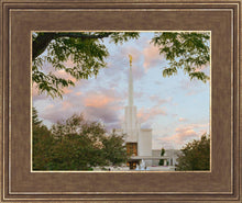 Load image into Gallery viewer, Denver Temple 01
