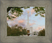 Load image into Gallery viewer, Denver Temple 01
