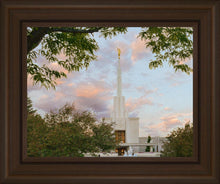Load image into Gallery viewer, Denver Temple 01

