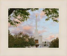 Load image into Gallery viewer, Denver Temple 01
