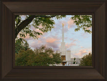 Load image into Gallery viewer, Denver Temple 01
