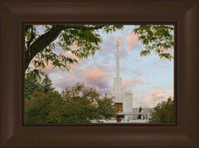 Load image into Gallery viewer, Denver Temple 01
