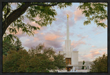 Load image into Gallery viewer, Denver Temple 01
