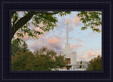 Load image into Gallery viewer, Denver Temple 01
