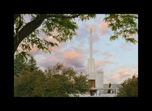 Load image into Gallery viewer, Denver Temple 01
