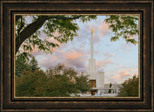 Load image into Gallery viewer, Denver Temple 01
