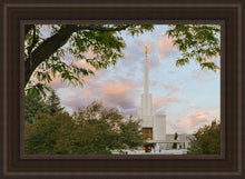 Load image into Gallery viewer, Denver Temple 01
