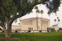 Load image into Gallery viewer, Mesa Temple 09
