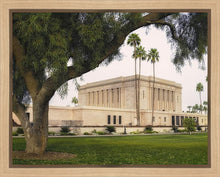 Load image into Gallery viewer, Mesa Temple 09
