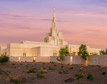 Load image into Gallery viewer, Phoenix Temple Dusk
