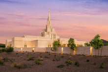 Load image into Gallery viewer, Phoenix Temple Dusk
