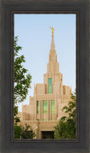 Load image into Gallery viewer, Phoenix Temple Daybreak
