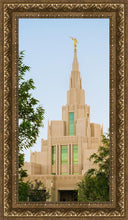 Load image into Gallery viewer, Phoenix Temple Daybreak
