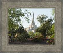 Load image into Gallery viewer, Gilbert Temple 14
