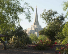 Load image into Gallery viewer, Gilbert Temple 14
