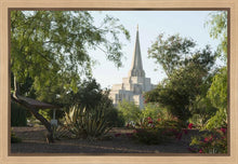 Load image into Gallery viewer, Gilbert Temple 14
