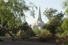Load image into Gallery viewer, Gilbert Temple 14
