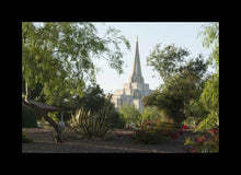 Load image into Gallery viewer, Gilbert Temple 14

