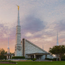 Load image into Gallery viewer, Dallas Temple 01
