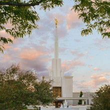 Load image into Gallery viewer, Denver Temple 01
