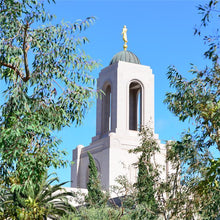Load image into Gallery viewer, Newport Temple 09
