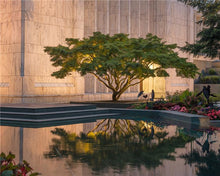 Load image into Gallery viewer, Portland Peaceful Gardens
