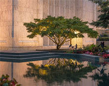 Load image into Gallery viewer, Portland Peaceful Gardens
