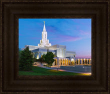 Load image into Gallery viewer, Bountiful 10
