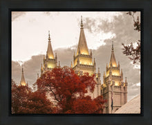 Load image into Gallery viewer, Salt Lake Temple 05
