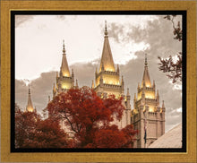 Load image into Gallery viewer, Salt Lake Temple 05
