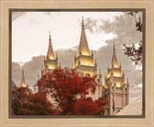 Load image into Gallery viewer, Salt Lake Temple 05
