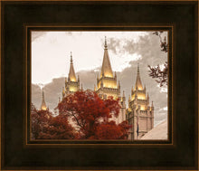 Load image into Gallery viewer, Salt Lake Temple 05
