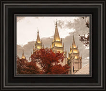Load image into Gallery viewer, Salt Lake Temple 05
