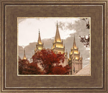 Load image into Gallery viewer, Salt Lake Temple 05
