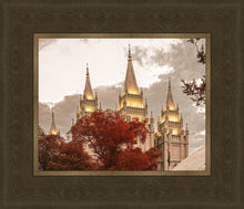 Load image into Gallery viewer, Salt Lake Temple 05
