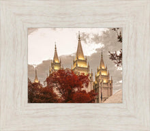 Load image into Gallery viewer, Salt Lake Temple 05
