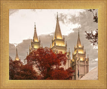 Load image into Gallery viewer, Salt Lake Temple 05

