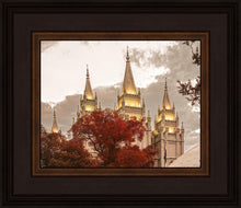 Load image into Gallery viewer, Salt Lake Temple 05
