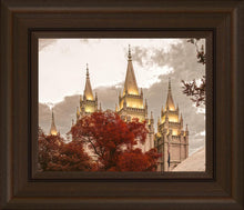 Load image into Gallery viewer, Salt Lake Temple 05
