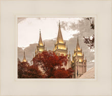Load image into Gallery viewer, Salt Lake Temple 05
