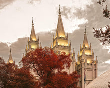 Load image into Gallery viewer, Salt Lake Temple 05
