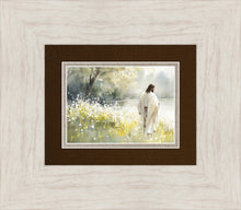 Load image into Gallery viewer, Life Anew
