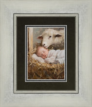 Load image into Gallery viewer, Humble Beginnings
