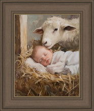 Load image into Gallery viewer, Humble Beginnings
